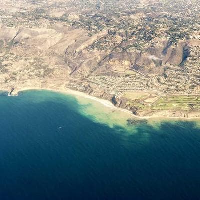 Elena R. Tattoo Result